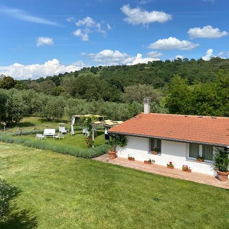 Tenuta Le Mandorlaie, Agriturismo In Scansano Exterior photo