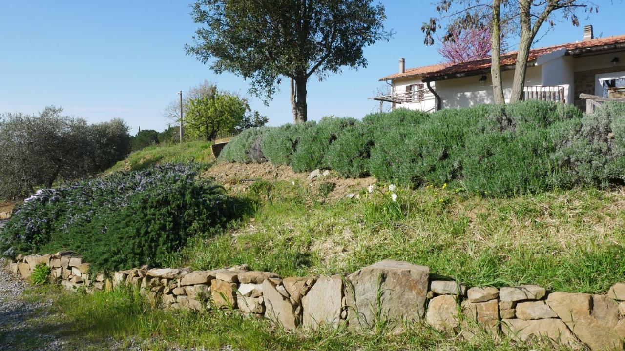 Tenuta Le Mandorlaie, Agriturismo In Scansano Exterior photo