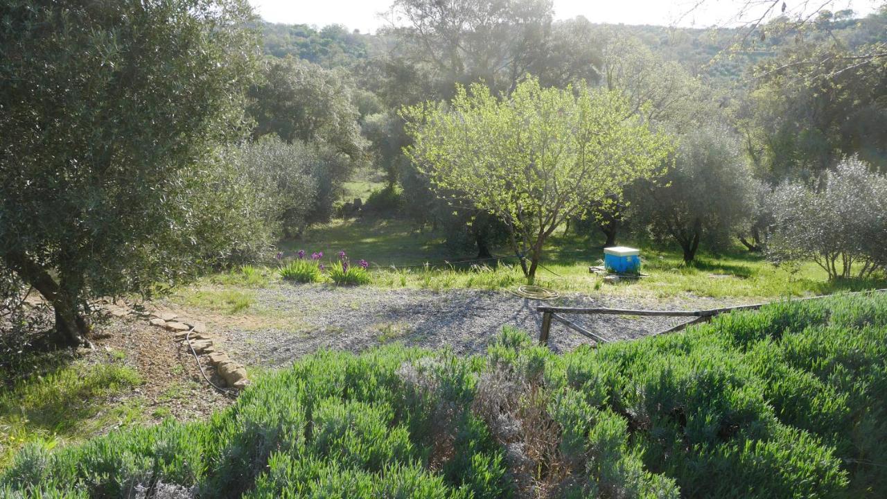 Tenuta Le Mandorlaie, Agriturismo In Scansano Exterior photo
