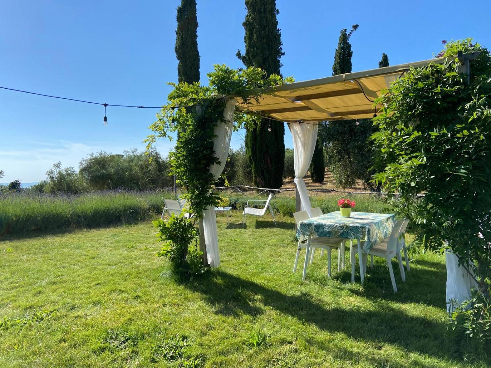 Tenuta Le Mandorlaie, Agriturismo In Scansano Exterior photo
