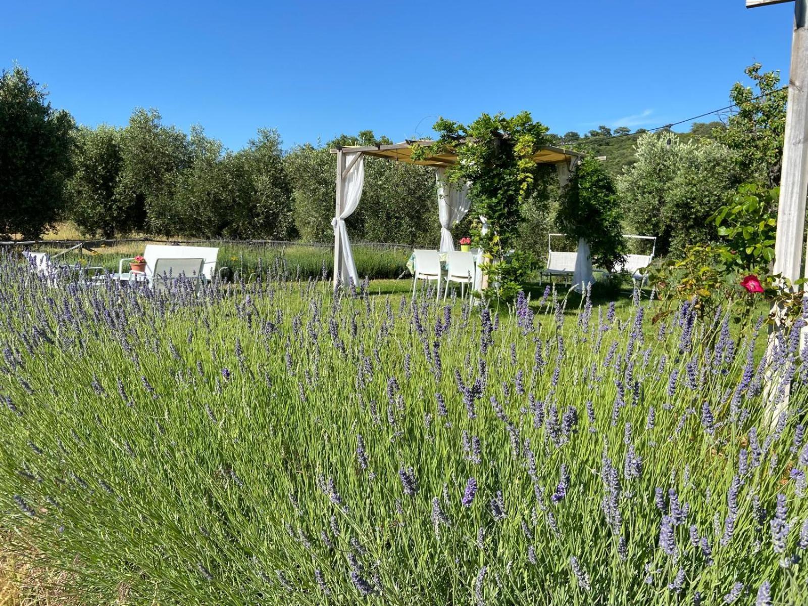 Tenuta Le Mandorlaie, Agriturismo In Scansano Exterior photo