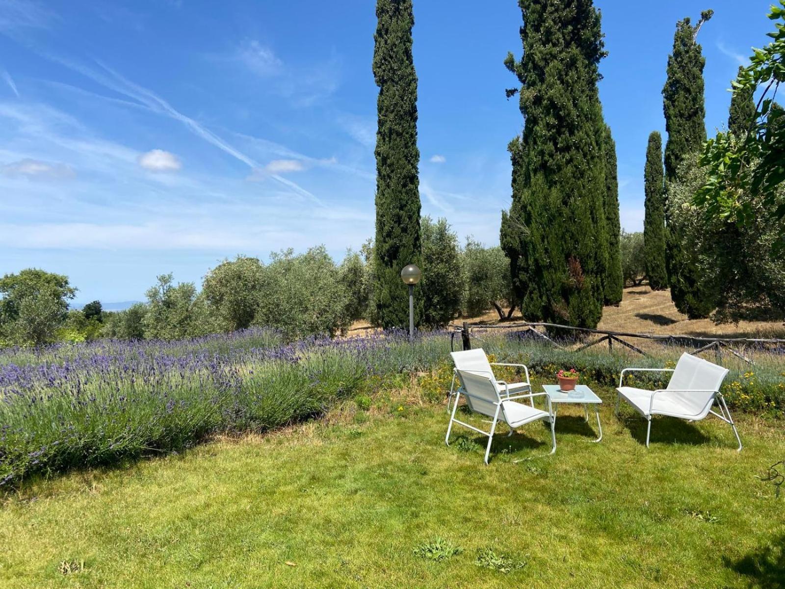 Tenuta Le Mandorlaie, Agriturismo In Scansano Exterior photo